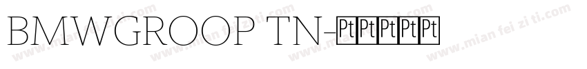BMWGROOP TN字体转换